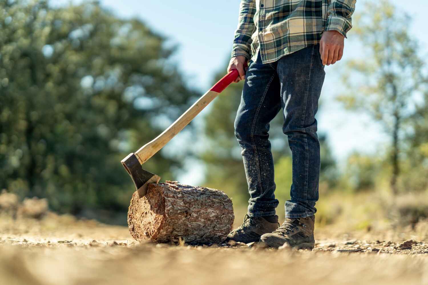 Fort Pierce South, FL Tree Service Company